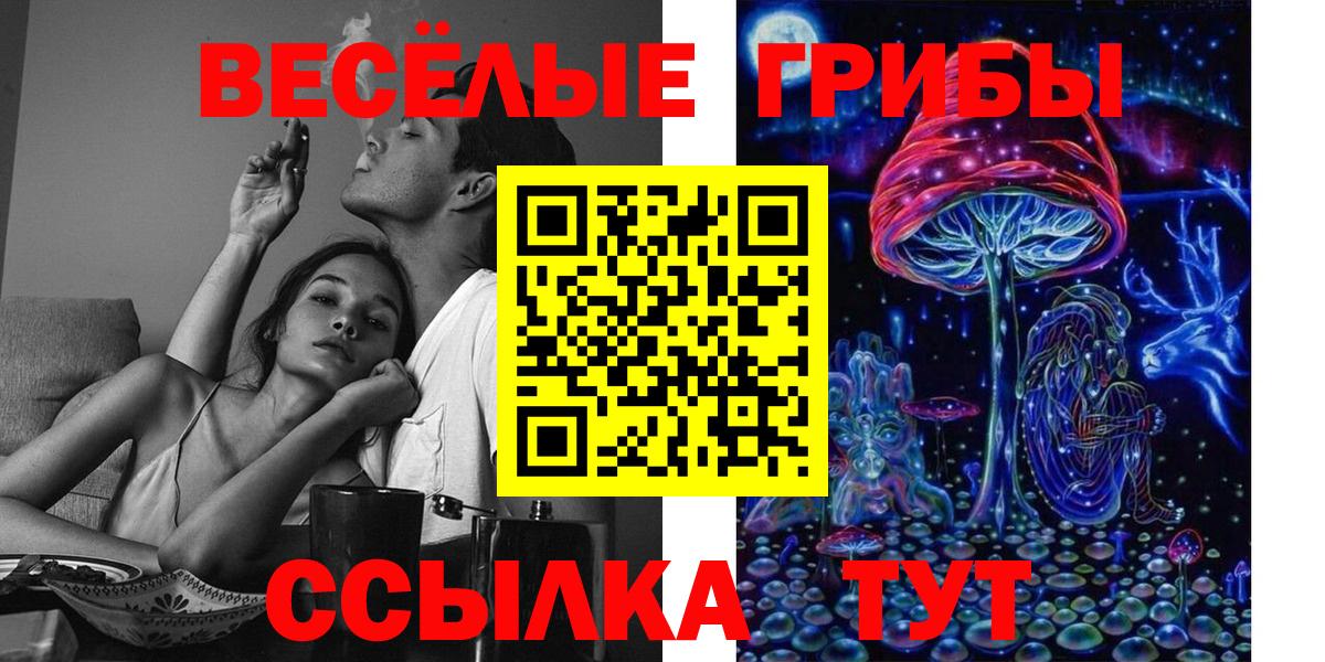 купить наркотик  Вход с VPN  Киселёвск  Псилоцибиновые грибы мицелий 